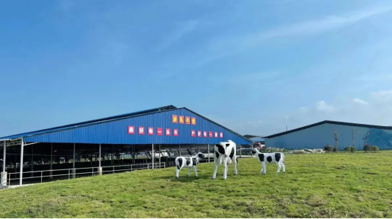 奶源建設(shè)再提速！田東縣皇氏奶業(yè)示范區(qū)正式投產(chǎn)！