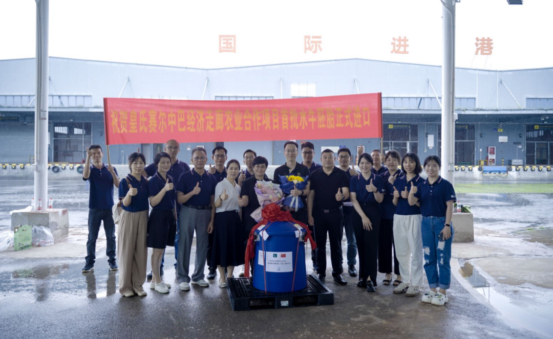 重磅！全國首批5000枚進(jìn)口巴基斯坦優(yōu)質(zhì)奶水牛胚胎入境，第一時間落戶皇氏集團(tuán)投入奶水牛改良繁育生產(chǎn)